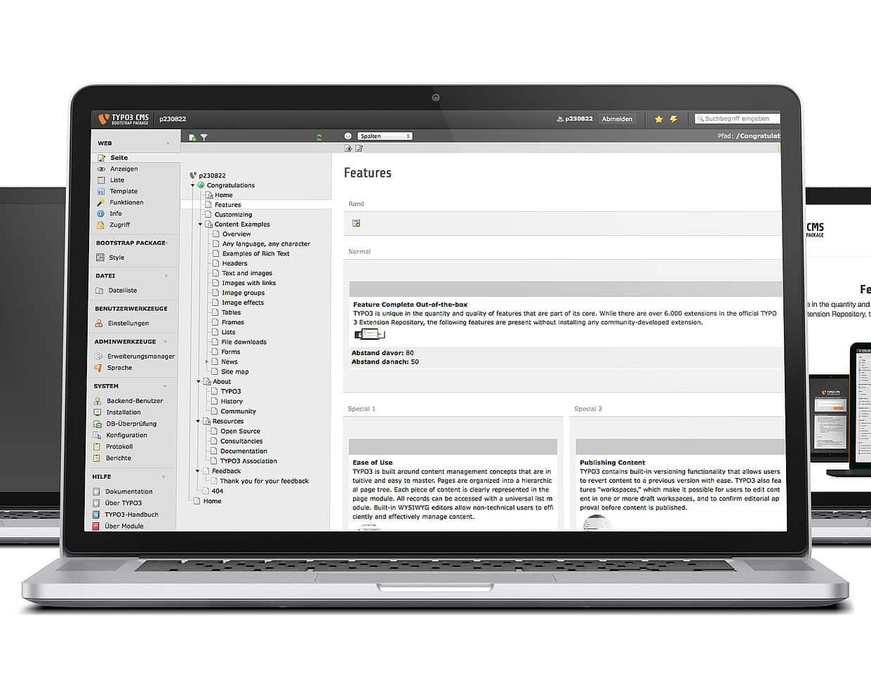 Typo3 Websites