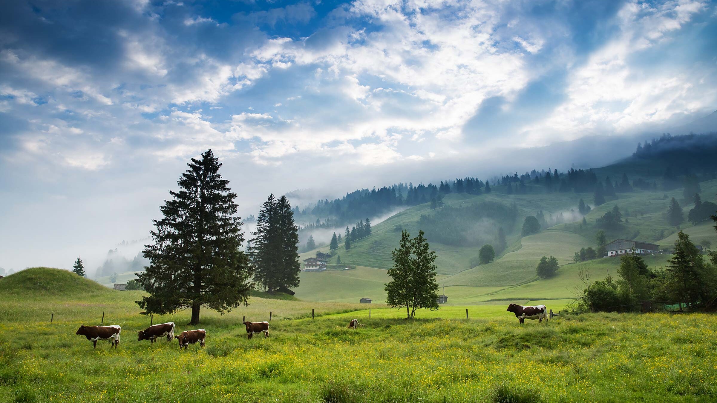 AdobeStock 124804521 uai