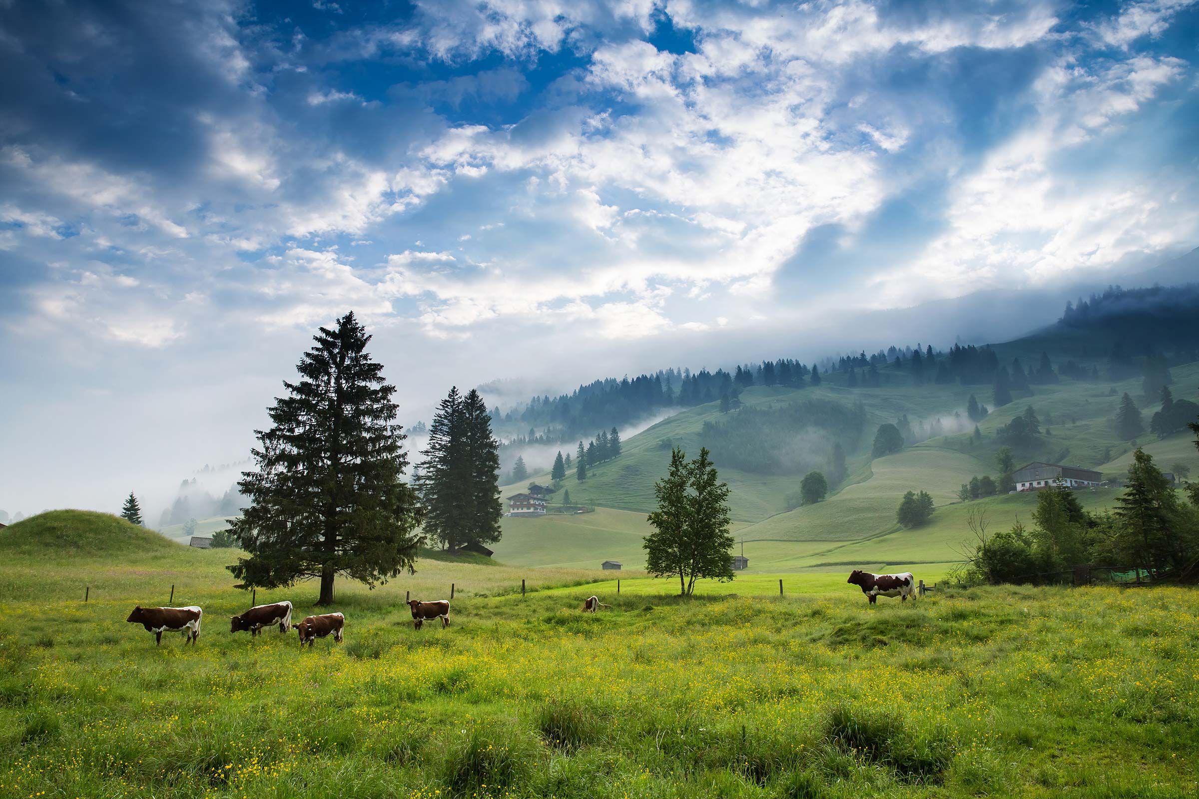 AdobeStock 124804521